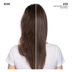Total Results High Amplify Shine Rinse хидратираща и подхранваща грижа за блясък и еластичност на косата